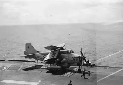 Cod Gannet 99